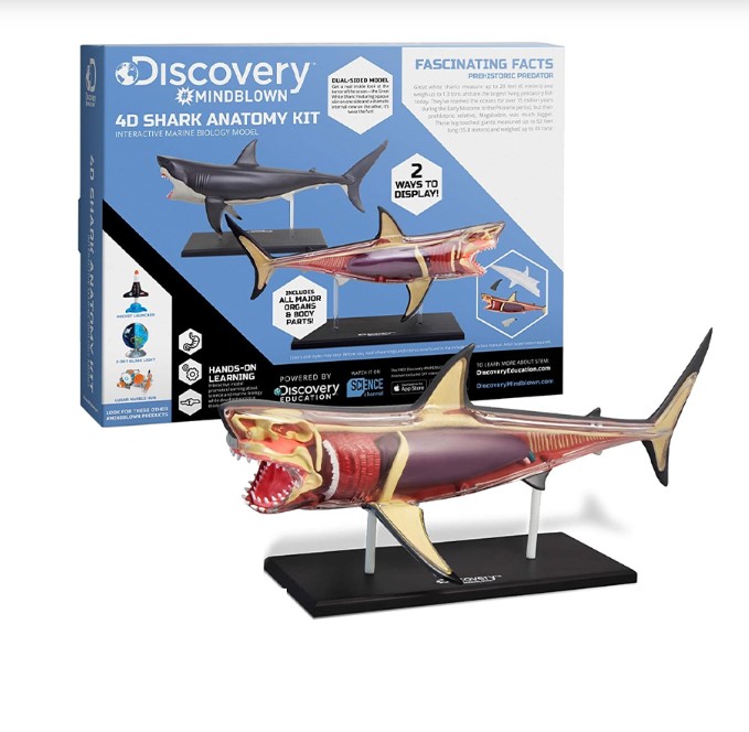 ديسكفري لعبة تشريح القرش ميندبلاون رباعي الابعاد