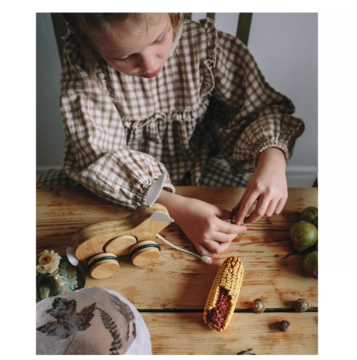 كيندر فييتس-لعبة حيوانات للأطفال الصغار