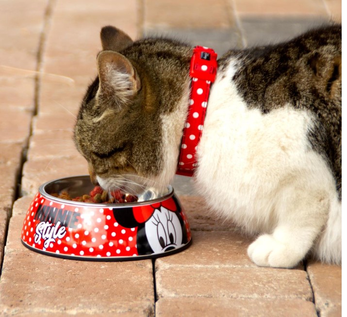 2800000425 DOGS BOWLS  L MINNIE