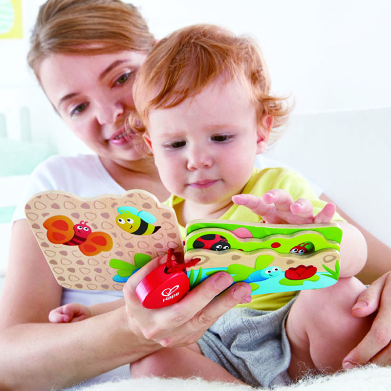 كتيب الحشرات الخشبي