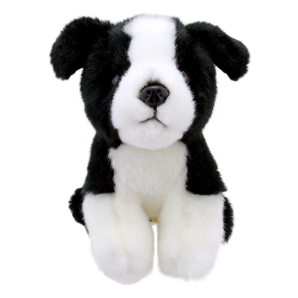 Wilberry Minis: Border Collie
