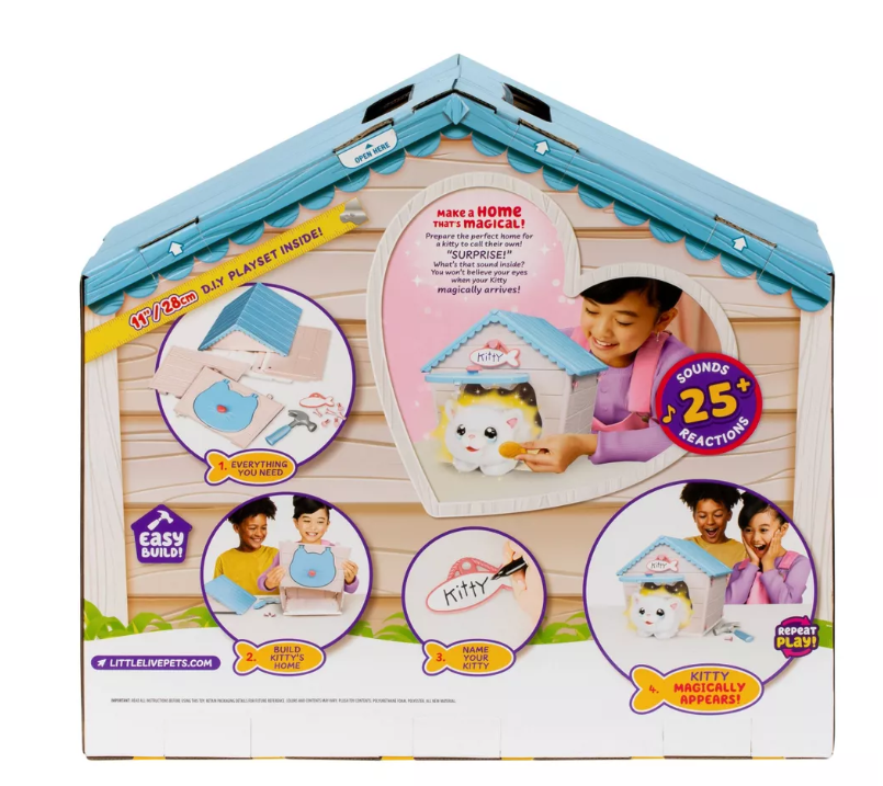 الحيوانات الأليفة الصغيرة الحية منزل قطتي