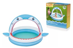 [26-53157] Shark-shaped swimming pool