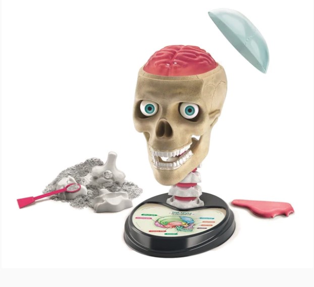 معمل تشريح كليمنتوني