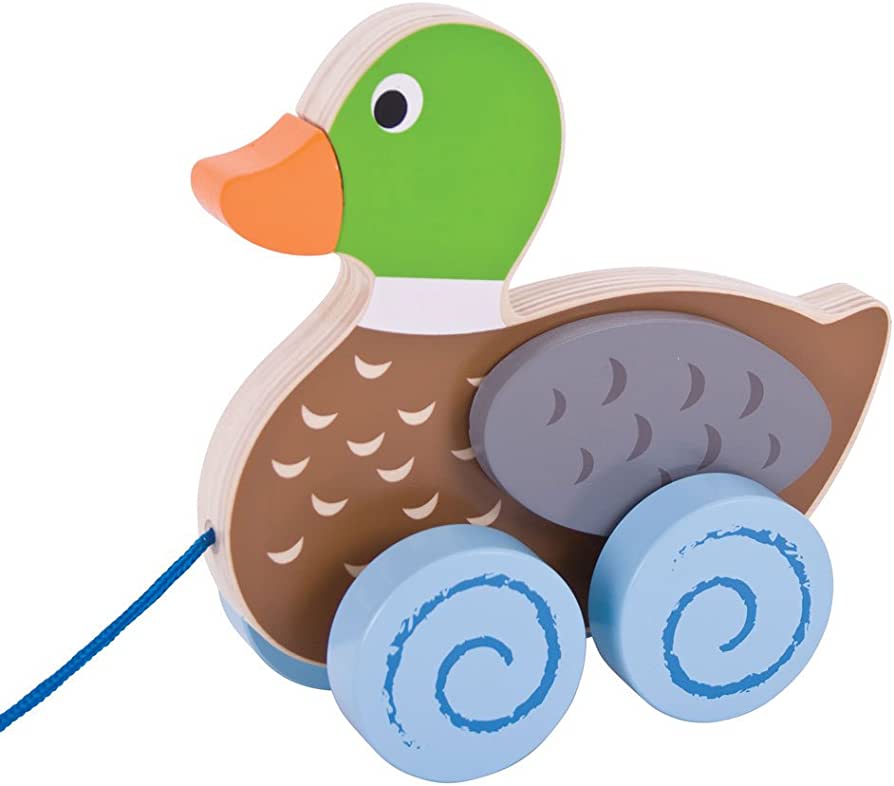 Duck Pull Along