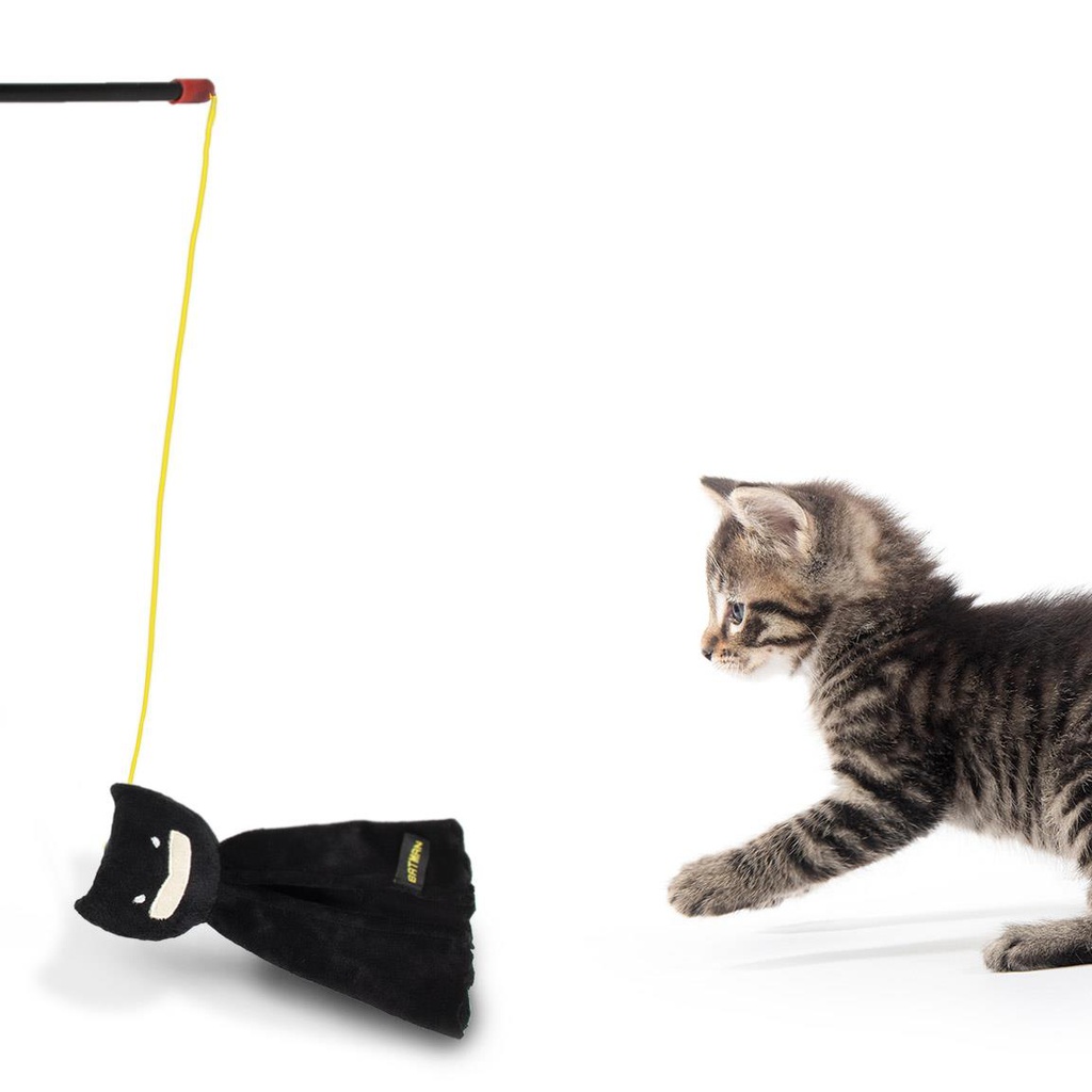 فاريتا بارا جاتو باتمان