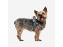 Marvel Dog Harness/Pertal