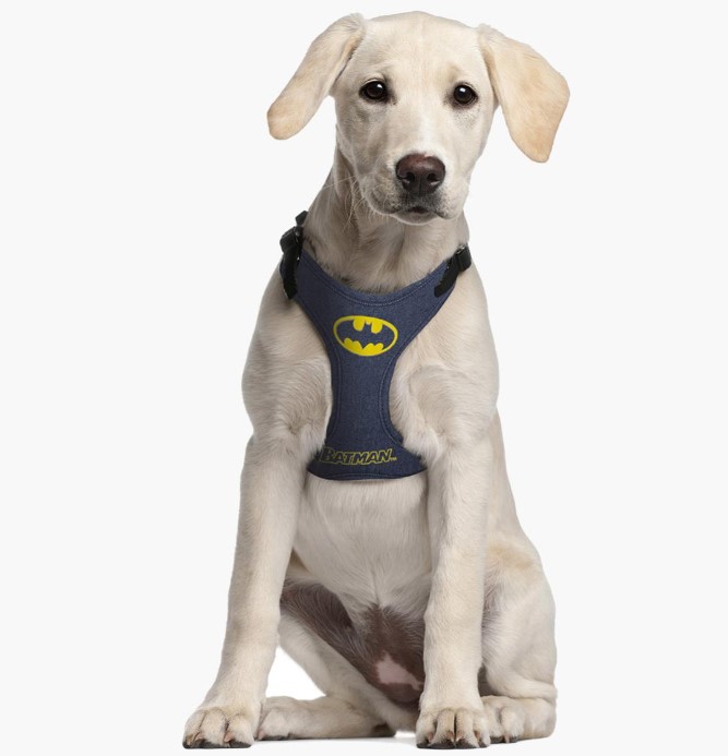 2800000244 DOG HARNESS XS/S BATMAN