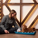 مرتبة الكلاب الصغيرة من ستار وورز