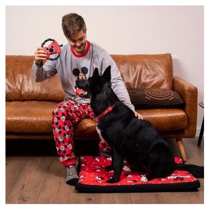 مرتبة ميني ماوس للكلاب