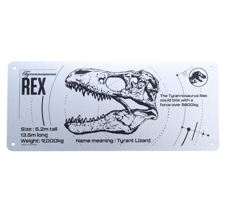 رسم تخطيطي للوحة المروحة – جمجمة تي ريكس