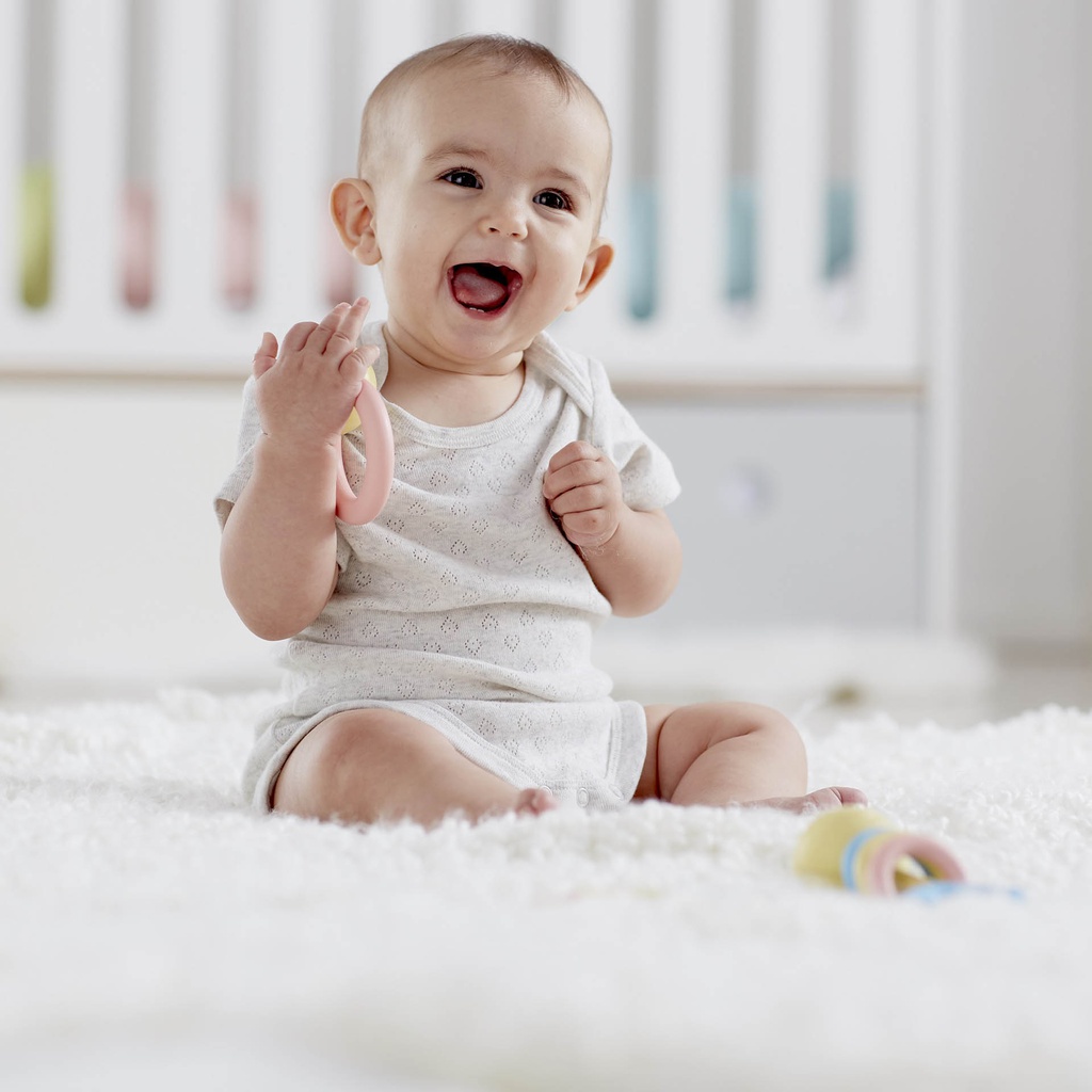 خشخشة هيب الدائريه