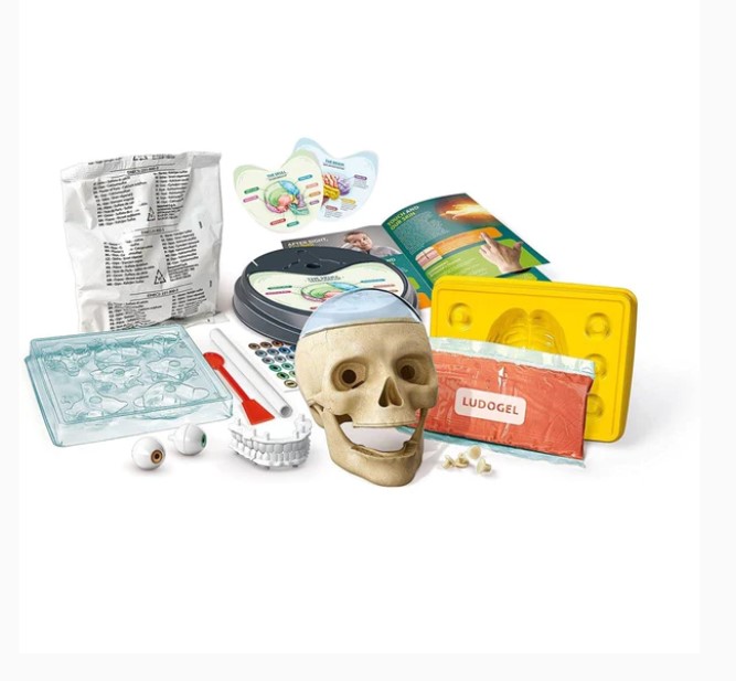 Clementoni Anatomy Lab