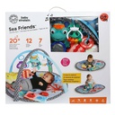 Baby Einstein educational rug for children