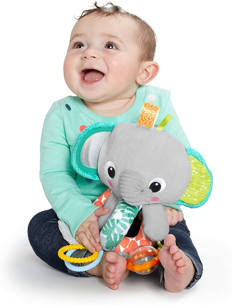 Explore and embrace the elephant