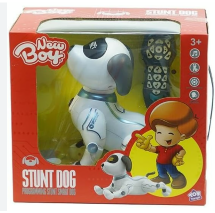 New Boy Robot Programming Stunt Smart Dog