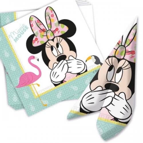 Minnie Mouse parties