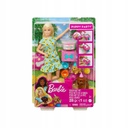 Barbie blonde doll and puppy party playset