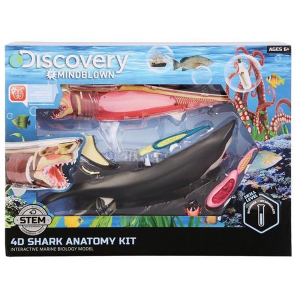 DISCOVERY 4D Mindblown Shark Anatomy