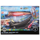 DISCOVERY 4D Mindblown Shark Anatomy