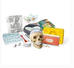 [61520] Clementoni Anatomy Lab