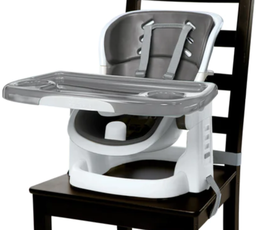 [11288] Ingenuity Smart Clean Toddler Booster Seat